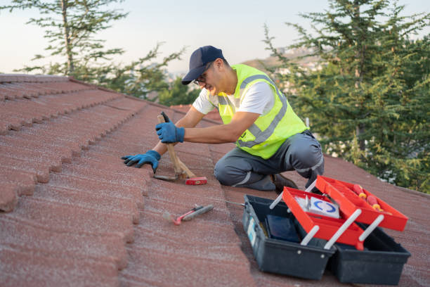 Professional Roofing Contractor in Carrollton, TX